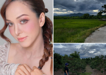 เงินสะพัด! “ซาร่า” ประกาศขายที่ดินแปลงสวย ทำเลทอง วิวภูเขาสุดปัง เห็นแล้วตาลุก