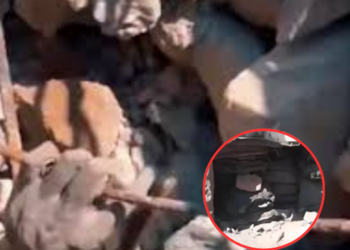 น่าเวทนา-สะเทือนใจ! เปิดคลิปวินาทีสุดท้าย ร่างทหารกัมพูชาพลีชีพ ดิ้นรนหนีตายออกจากหลุมบังเกอร์ ภาพหดหู่เกินบรรยาย