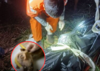 สลดสะเทือนใจ! ชาวบ้านออกเก็บพุทราน้ำนม กลับพบเป็นศพ คาดถูกสัตว์ป่าทำร้ายดับสยอง