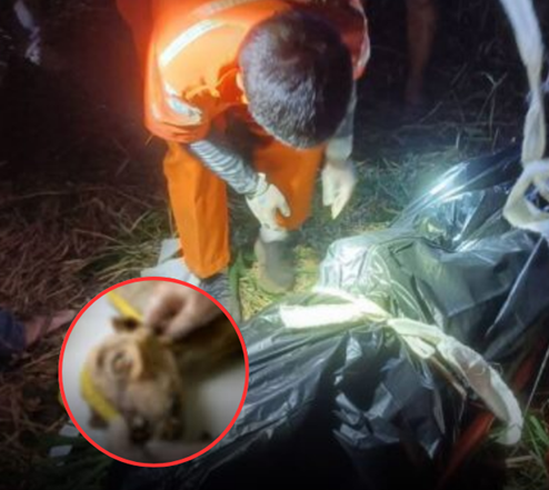 สลดสะเทือนใจ! ชาวบ้านออกเก็บพุทราน้ำนม กลับพบเป็นศพ คาดถูกสัตว์ป่าทำร้ายดับสยอง