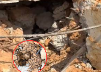 พระเขมรรีวิวฐานทหารตาควาย พบโครงกระดูก–ศพเกลื่อน สะเทือนโซเชียล