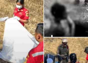 สยองขวัญ! ลูกทาสยาคลั่ง ใช้มีดฟันคอแม่ขาด ก่อนหิ้วศีรษะไปทิ้งทุ่งนาข้างบ้าน