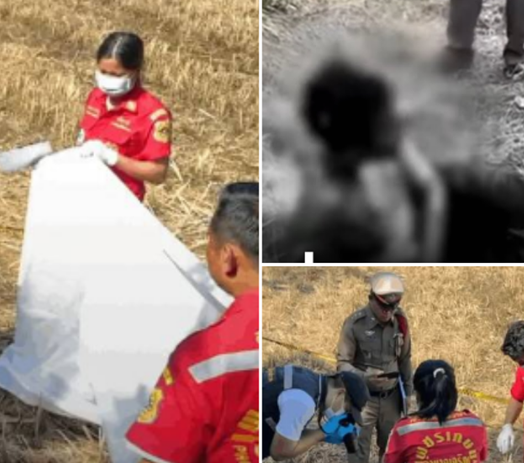 สยองขวัญ! ลูกทาสยาคลั่ง ใช้มีดฟันคอแม่ขาด ก่อนหิ้วศีรษะไปทิ้งทุ่งนาข้างบ้าน