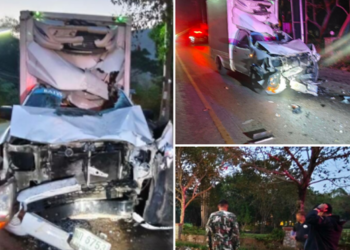 สลด! กระบะพุ่งชนช้างป่า ขณะข้ามถนนใน อุทยานแห่งชาติเขาใหญ่ คนขับเจ็บสาหัส ช้างบาดเจ็บหนีเข้าป่า จนท.เร่งช่วยเหลือ