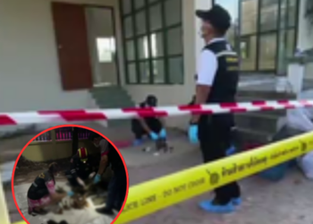 สยอง! คนงานรีโนเวทบ้านเอะใจ กลิ่นเหม็นสาบลอยทั่ว ขึ้นดูบนฝ้าแทบช็อก เจอเฉลยเต็มๆ ตา