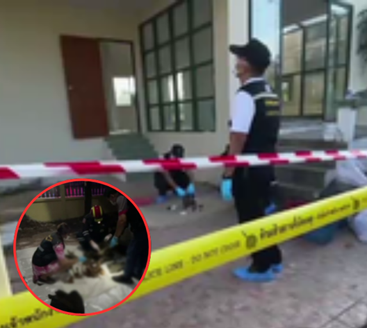 สยอง! คนงานรีโนเวทบ้านเอะใจ กลิ่นเหม็นสาบลอยทั่ว ขึ้นดูบนฝ้าแทบช็อก เจอเฉลยเต็มๆ ตา