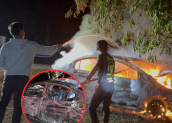 สลด! สาวศุลกากรหลับใน ขับเก๋งเลยโค้งชนต้นไม้ ไฟคลอกดับพร้อมสุนัข ภายในรถ